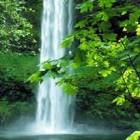 রাগীব আহসান