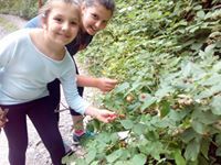 Недялка Рандева