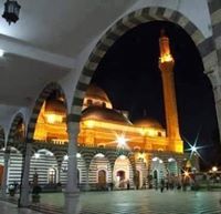 صلاح ابو محمد