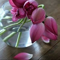 اجنحة الملائكة