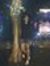 Shruti ...