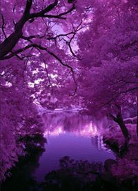 Αλεξάνδρα Αποστολίδου