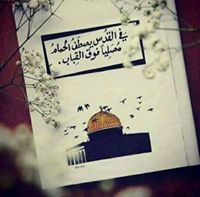 اسلام بلوطة