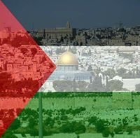 امل فؤاد غازي