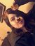 Amelia Kn