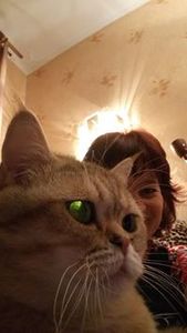 Наталья Мигдисова