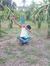 Romil T...