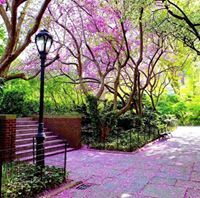 Jothilakshmi Sampath