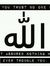 Faisal Mir