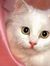 Amira S...