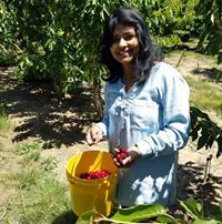 Rebecca Singh