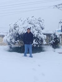 Josue Bojorquez Velis