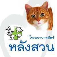 โรงพยาบาลสัตว์ หลังสวน
