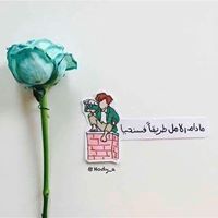 سندس سليمان