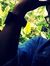 Nil Ahmed