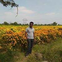 Dhiraj Thakare