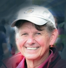 David Hodges