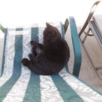 Victoria Christophersen