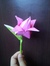 Adillah