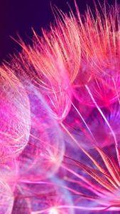 అమ్మాయి అందంగా