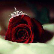 الاميره النائمه