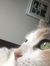 Marie