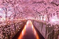 Strange Spring