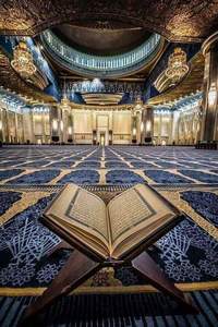 Sayed ahmed