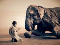 അർജുൻ മോഹനൻ