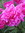 Tom Schwerbrock | 5 comments
