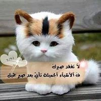 أم عبدالرحمن