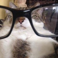 Александър Димитров