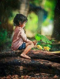 S.F. Shoaib