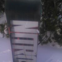 Димитър Хайдутов