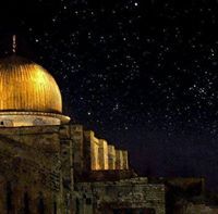فراشة الوادي