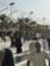 عبد الودود