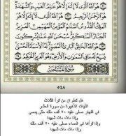 ايمن رفعت محمد