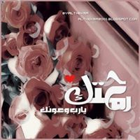 وردة النرجس