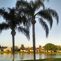 Michelle Taillon Abrams