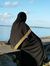Hawwa I...