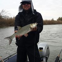 Андрей Евдошенко