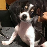 Becky Johnson Mackey