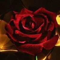 عادل الفاسي