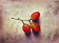 আশিস নারায়ণ