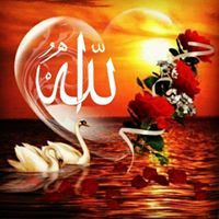 درة فى نقابي