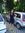 Alina R...