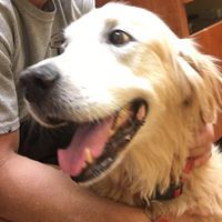 Debbie Blanton Lundgren