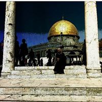 حنين عبداللطيف