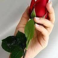 فاتن الطائي