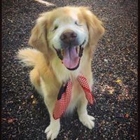 Denise O'Shaughnessy